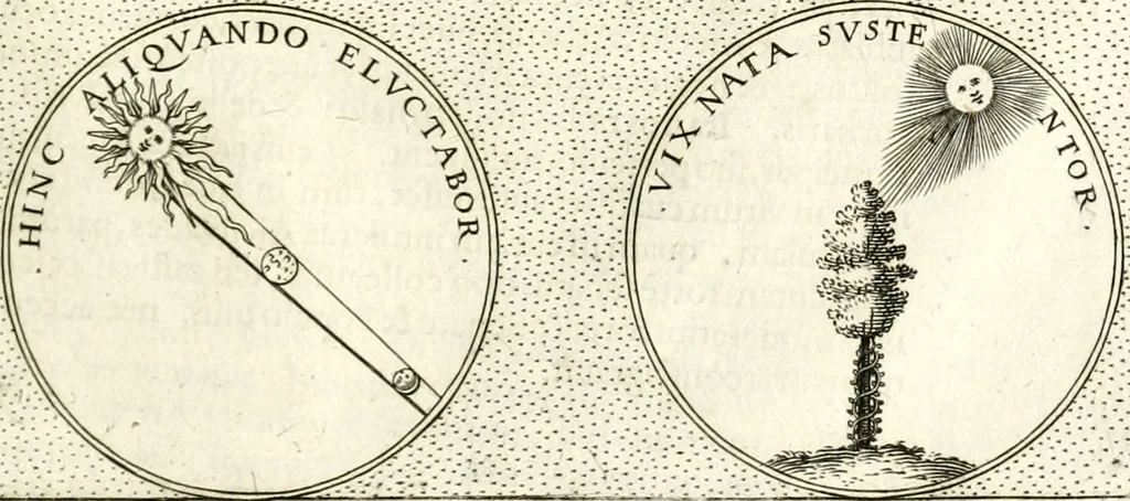 An illustration from Symbola diuina & humana pontificum, imperatorum, regum, 1601, leaf 168