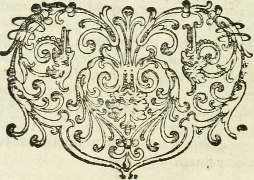 An illustration from Symbola diuina & humana pontificum, imperatorum, regum, 1601, leaf 197