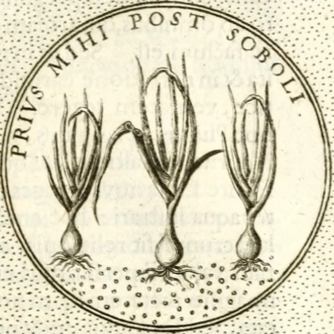 An illustration from Symbola diuina & humana pontificum, imperatorum, regum, 1601, leaf 198