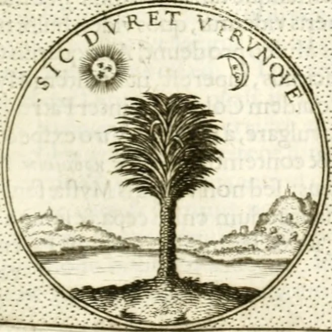An illustration from Symbola diuina & humana pontificum, imperatorum, regum, 1601, leaf 198