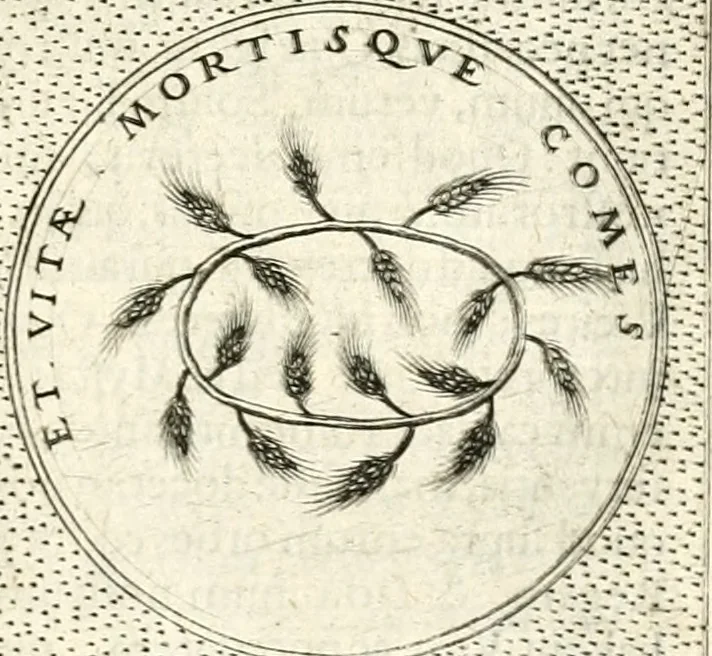 An illustration from Symbola diuina & humana pontificum, imperatorum, regum, 1601, leaf 202