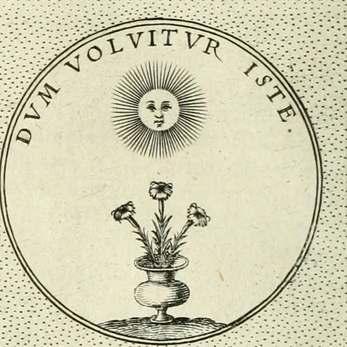 An illustration from Symbola diuina & humana pontificum, imperatorum, regum, 1601, leaf 211