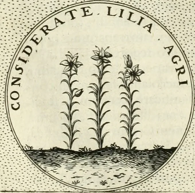 An illustration from Symbola diuina & humana pontificum, imperatorum, regum, 1601, leaf 221