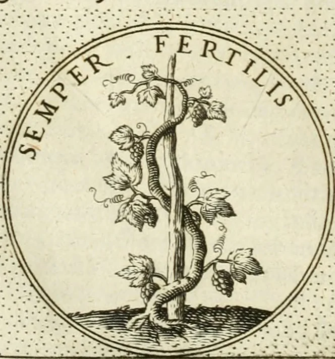An illustration from Symbola diuina & humana pontificum, imperatorum, regum, 1601, leaf 241