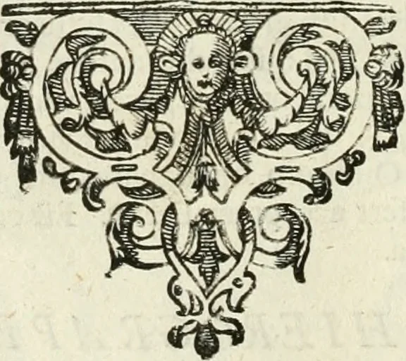 An illustration from Symbola diuina & humana pontificum, imperatorum, regum, 1601, leaf 247
