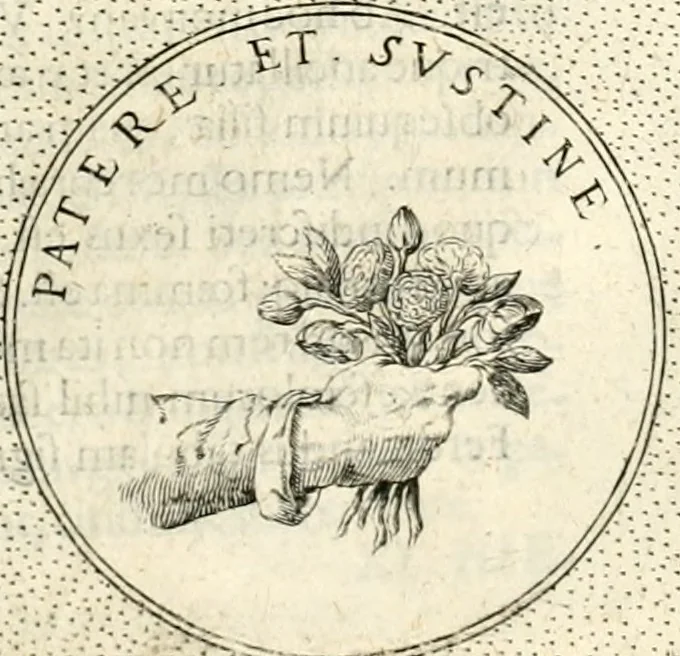 An illustration from Symbola diuina & humana pontificum, imperatorum, regum, 1601, leaf 252