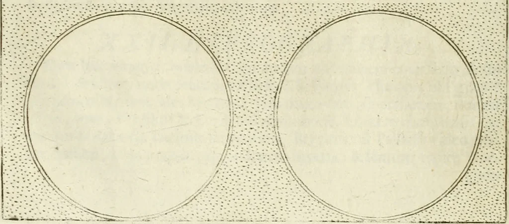 An illustration from Symbola diuina & humana pontificum, imperatorum, regum, 1601, leaf 263