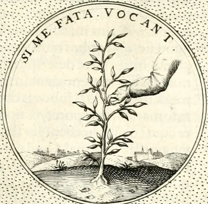 An illustration from Symbola diuina & humana pontificum, imperatorum, regum, 1601, leaf 292