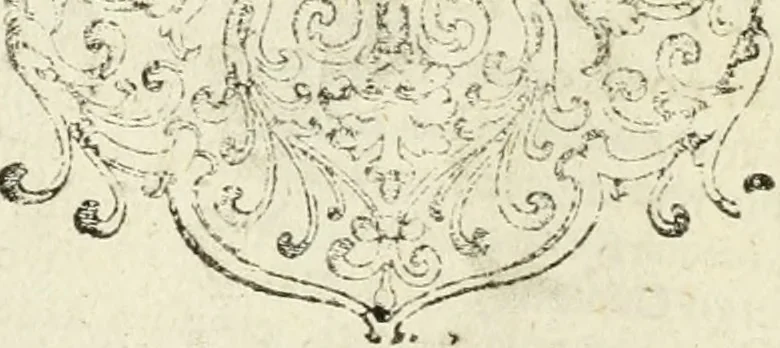 An illustration from Symbola diuina & humana pontificum, imperatorum, regum, 1601, leaf 301