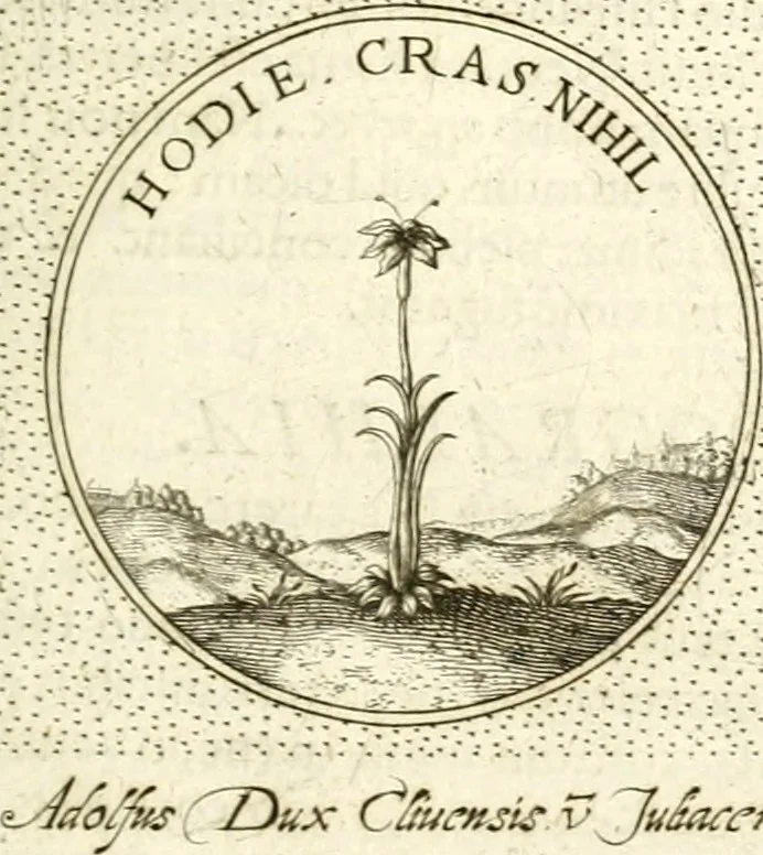 An illustration from Symbola diuina & humana pontificum, imperatorum, regum, 1601, leaf 306