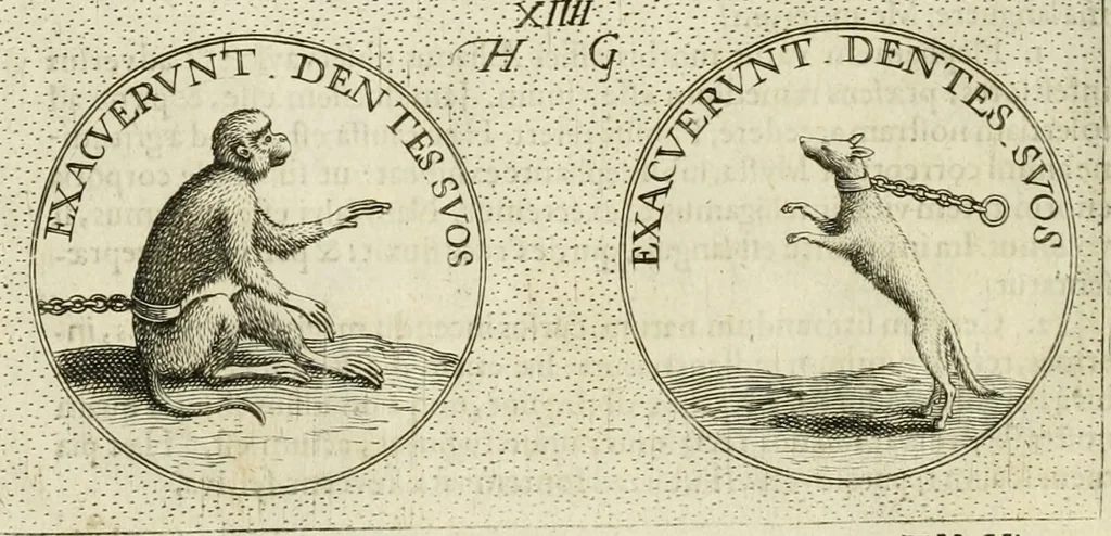 An illustration from Symbola diuina & humana pontificum, imperatorum, regum, 1601, leaf 31