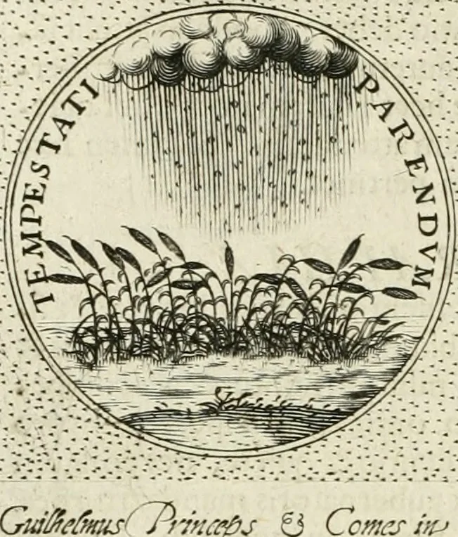 An illustration from Symbola diuina & humana pontificum, imperatorum, regum, 1601, leaf 319