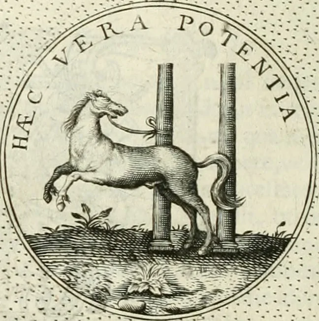 An illustration from Symbola diuina & humana pontificum, imperatorum, regum, 1601, leaf 329