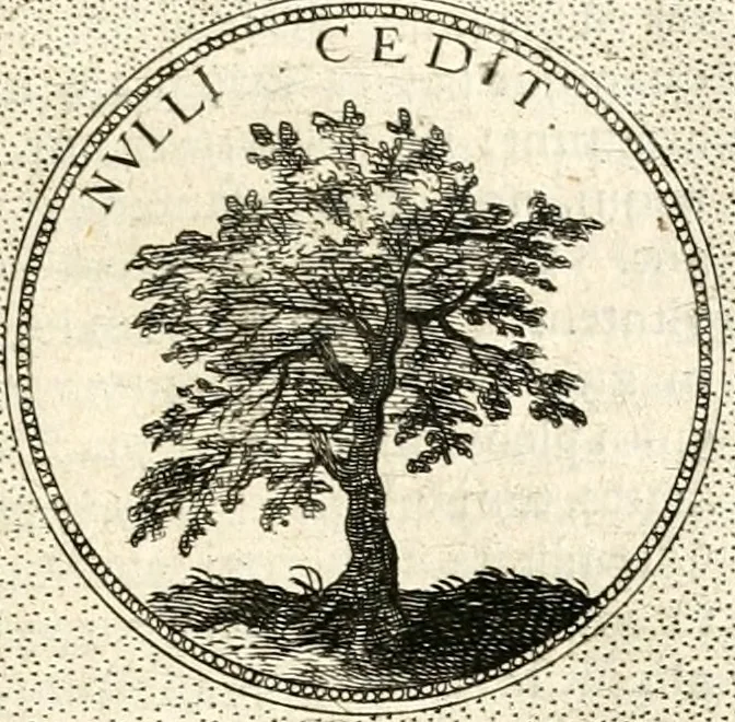 An illustration from Symbola diuina & humana pontificum, imperatorum, regum, 1601, leaf 358