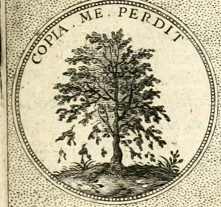 An illustration from Symbola diuina & humana pontificum, imperatorum, regum, 1601, leaf 358