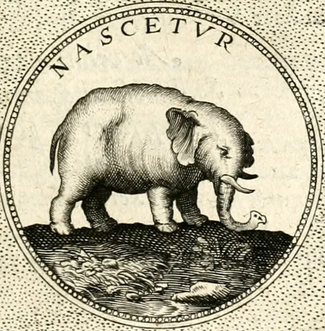 An illustration from Symbola diuina & humana pontificum, imperatorum, regum, 1601, leaf 358