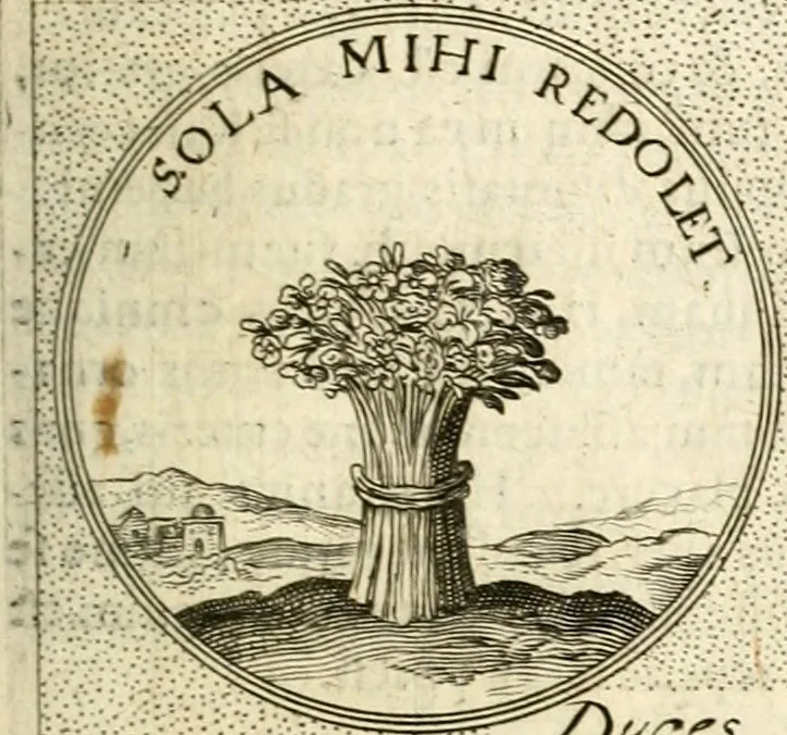 An illustration from Symbola diuina & humana pontificum, imperatorum, regum, 1601, leaf 370