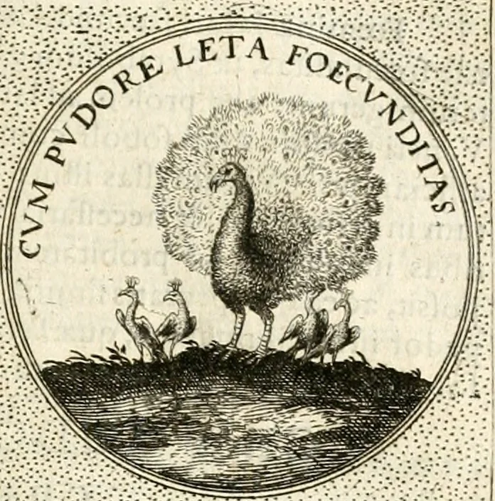 An illustration from Symbola diuina & humana pontificum, imperatorum, regum, 1601, leaf 394
