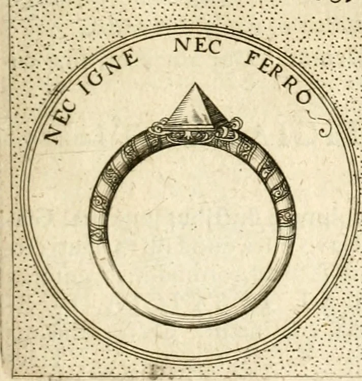 An illustration from Symbola diuina & humana pontificum, imperatorum, regum, 1601, leaf 406