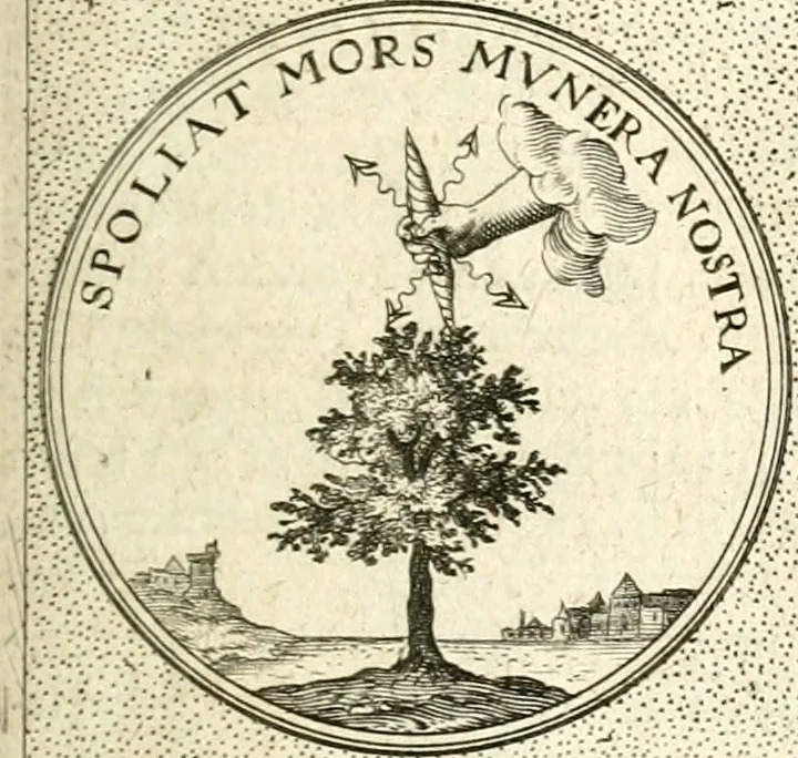 An illustration from Symbola diuina & humana pontificum, imperatorum, regum, 1601, leaf 428
