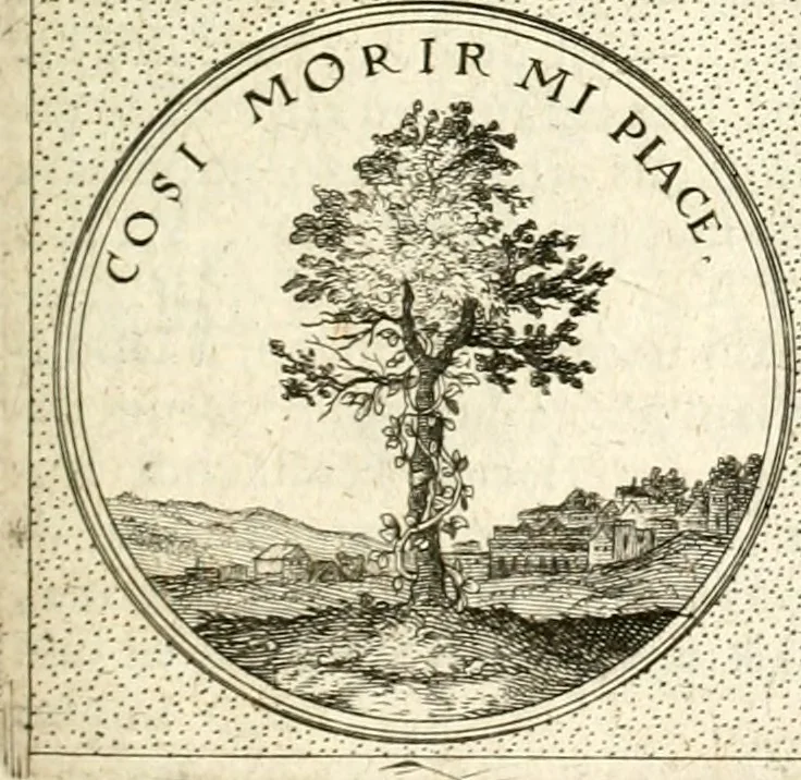 An illustration from Symbola diuina & humana pontificum, imperatorum, regum, 1601, leaf 428
