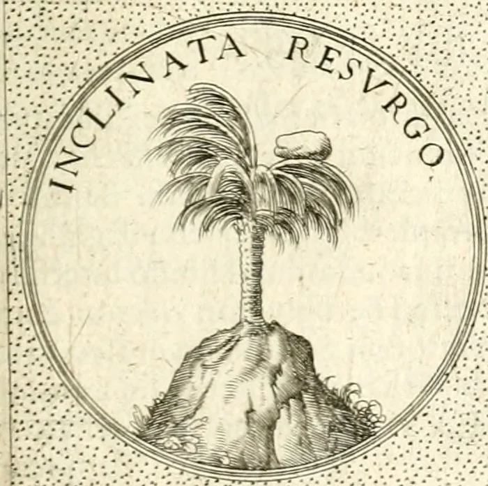 An illustration from Symbola diuina & humana pontificum, imperatorum, regum, 1601, leaf 444