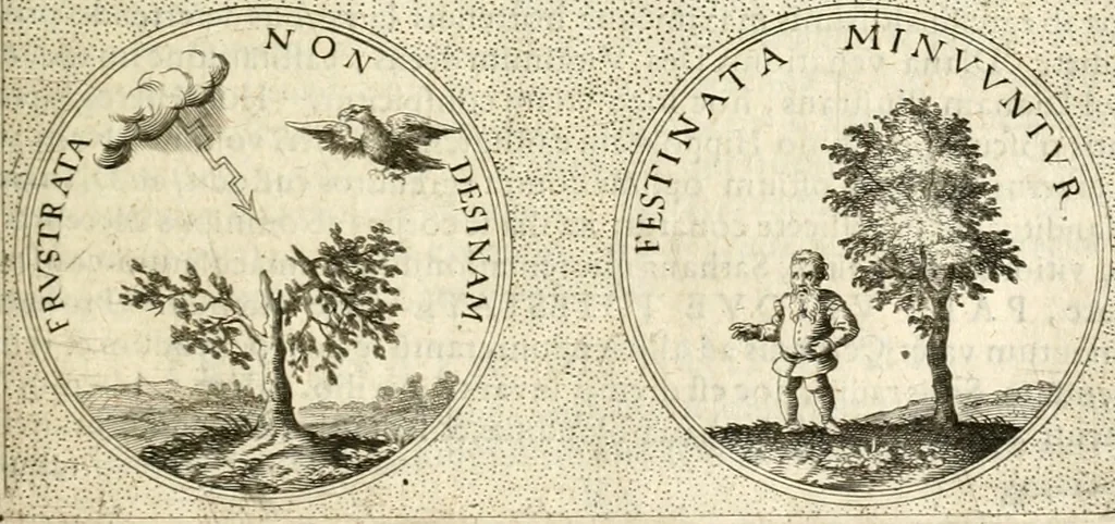 An illustration from Symbola diuina & humana pontificum, imperatorum, regum, 1601, leaf 452