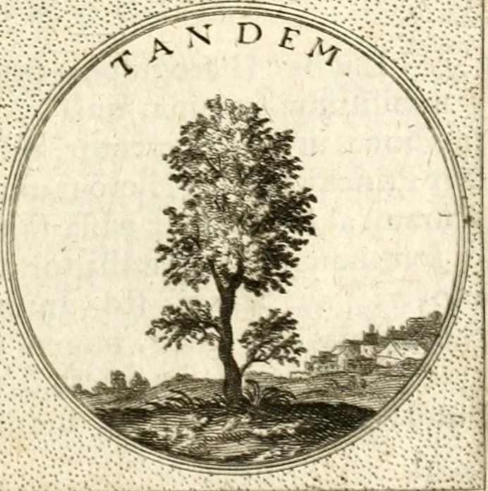 An illustration from Symbola diuina & humana pontificum, imperatorum, regum, 1601, leaf 480