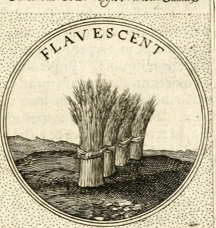 An illustration from Symbola diuina & humana pontificum, imperatorum, regum, 1601, leaf 484