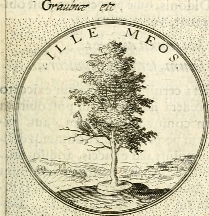 An illustration from Symbola diuina & humana pontificum, imperatorum, regum, 1601, leaf 502