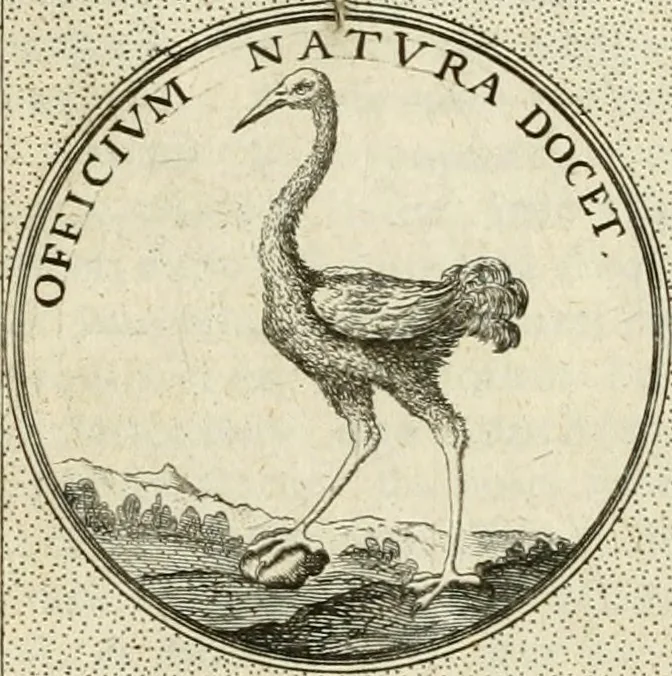 An illustration from Symbola diuina & humana pontificum, imperatorum, regum, 1601, leaf 507