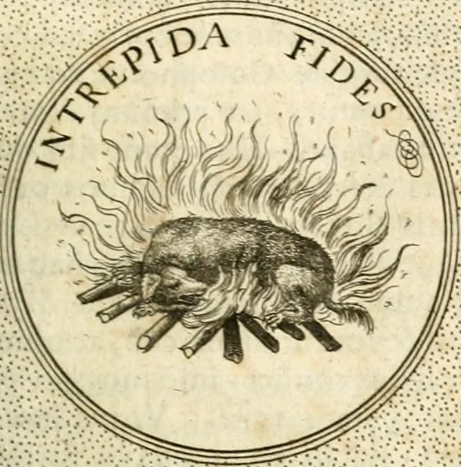 An illustration from Symbola diuina & humana pontificum, imperatorum, regum, 1601, leaf 546