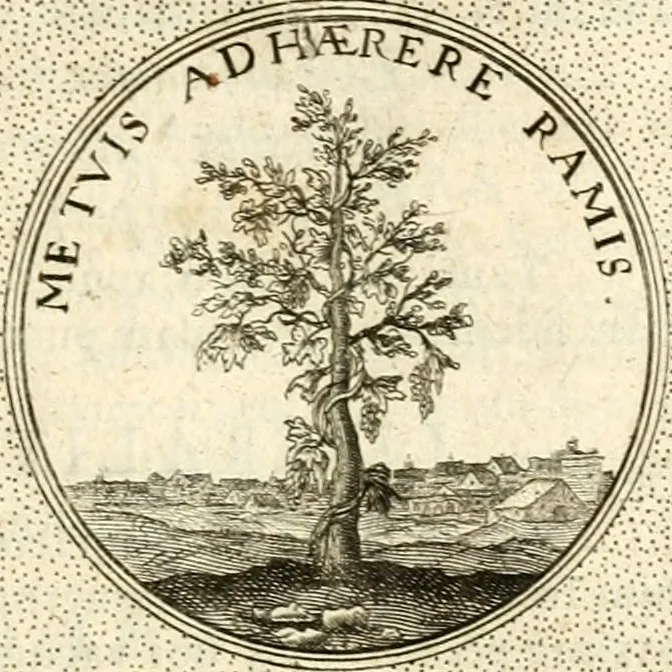 An illustration from Symbola diuina & humana pontificum, imperatorum, regum, 1601, leaf 546