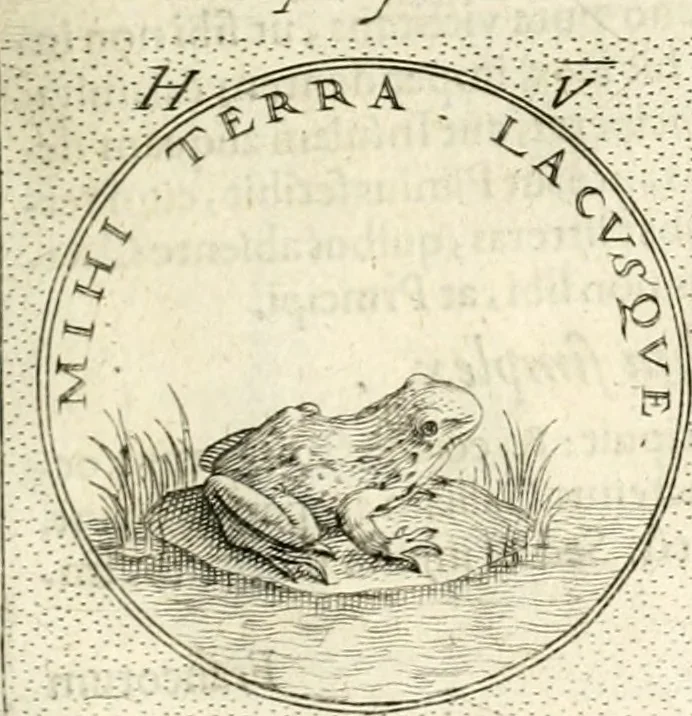 An illustration from Symbola diuina & humana pontificum, imperatorum, regum, 1601, leaf 84