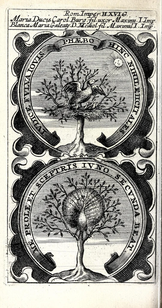 An illustration from Symbola divina & humana pontificum, imperatorum, regum : ex musaeo Octavii de Strada civis Romani, 1666, leaf 124