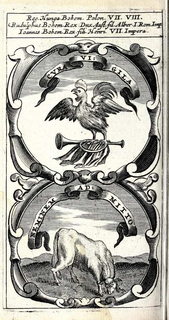 An illustration from Symbola divina & humana pontificum, imperatorum, regum : ex musaeo Octavii de Strada civis Romani, 1666, leaf 356