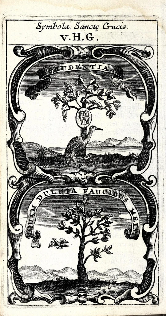 An illustration from Symbola divina & humana pontificum, imperatorum, regum : ex musaeo Octavii de Strada civis Romani, 1666, leaf 38