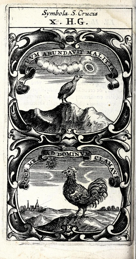 An illustration from Symbola divina & humana pontificum, imperatorum, regum : ex musaeo Octavii de Strada civis Romani, 1666, leaf 50
