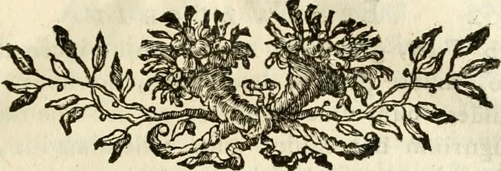 An illustration from Symbolae litterariae, opuscula varia philologica, scientifica, antiquaria, signa, lapides, numismata, gemmas et monumenta medii aevi, nunc primum edita complectentes, 1751, leaf 142