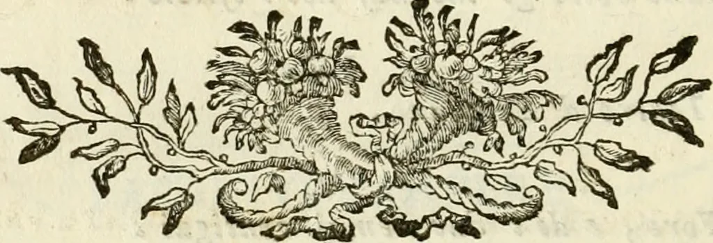 An illustration from Symbolae litterariae, opuscula varia philologica, scientifica, antiquaria, signa, lapides, numismata, gemmas et monumenta medii aevi, nunc primum edita complectentes, 1751, leaf 251