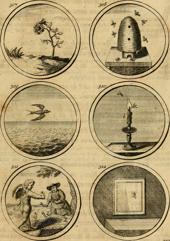An illustration from Symbola et emblemata, 1705, leaf 114