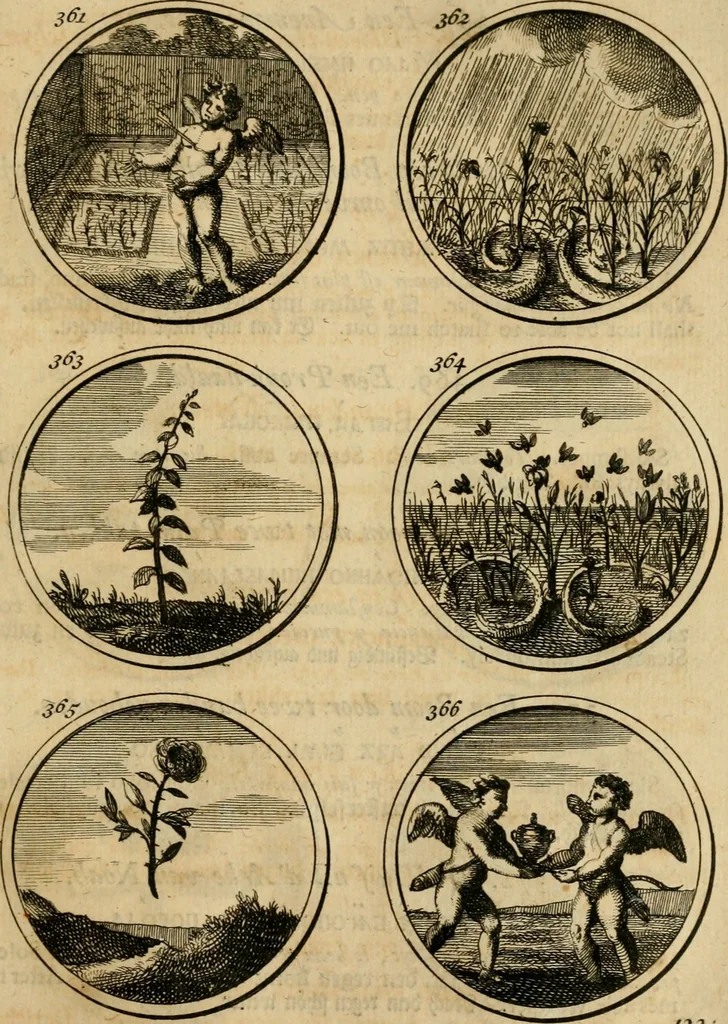 An illustration from Symbola et emblemata, 1705, leaf 132