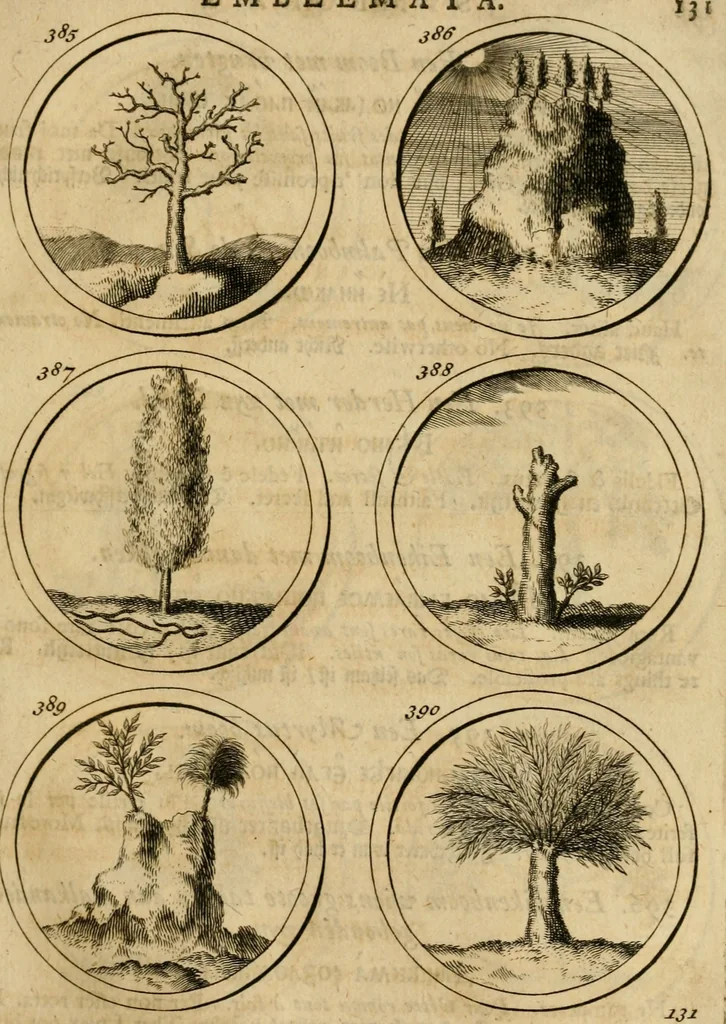 An illustration from Symbola et emblemata, 1705, leaf 140