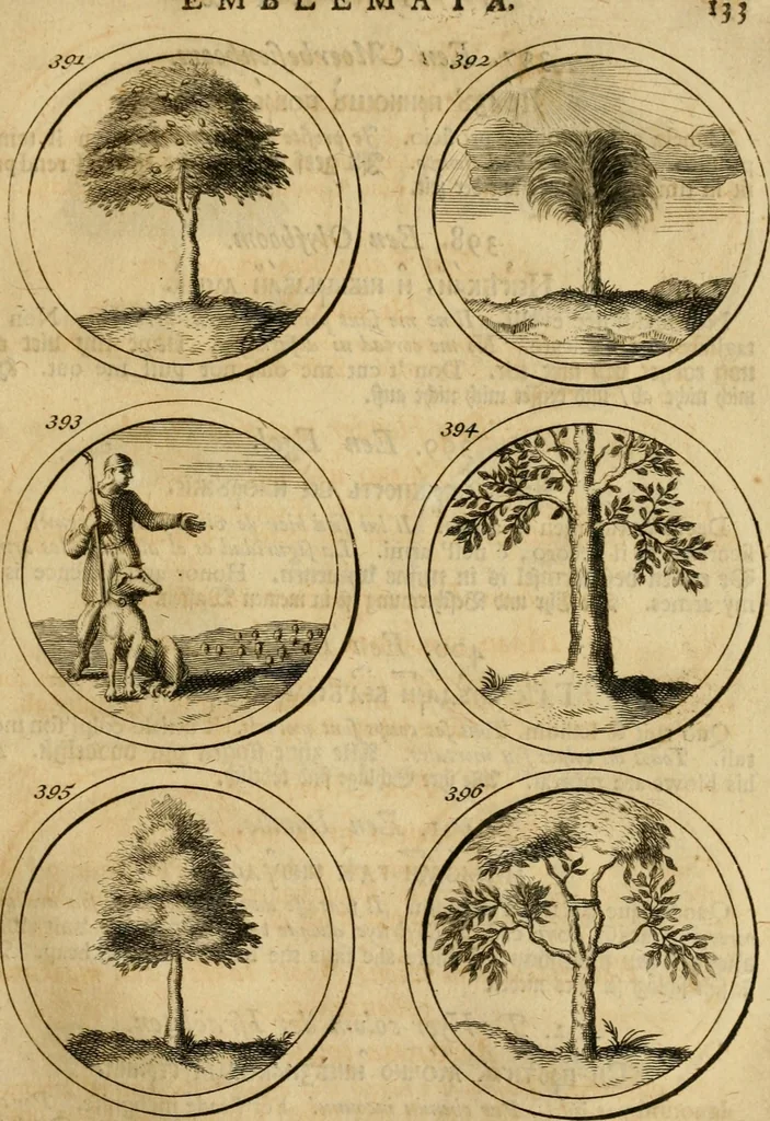 An illustration from Symbola et emblemata, 1705, leaf 142