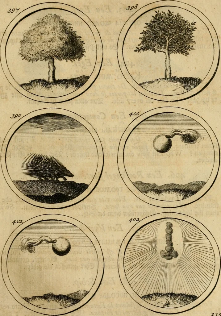 An illustration from Symbola et emblemata, 1705, leaf 144