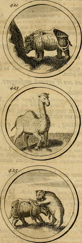 An illustration from Symbola et emblemata, 1705, leaf 152