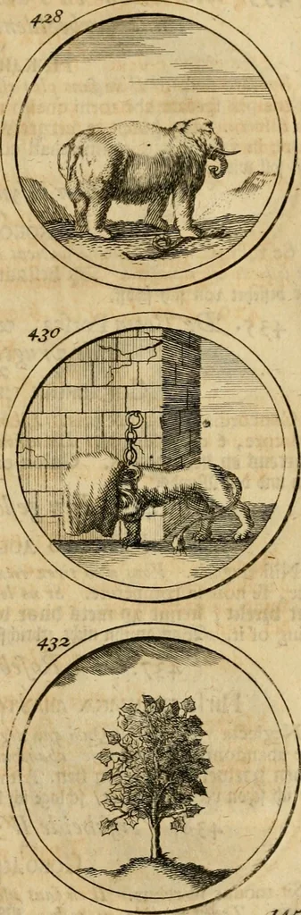 An illustration from Symbola et emblemata, 1705, leaf 154