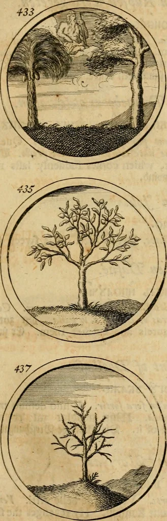 An illustration from Symbola et emblemata, 1705, leaf 156
