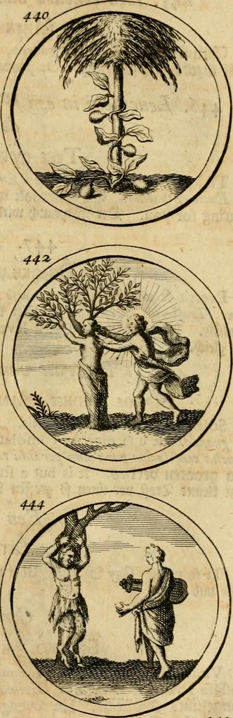 An illustration from Symbola et emblemata, 1705, leaf 158