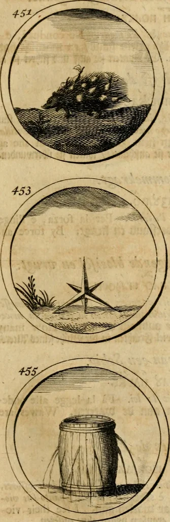 An illustration from Symbola et emblemata, 1705, leaf 162
